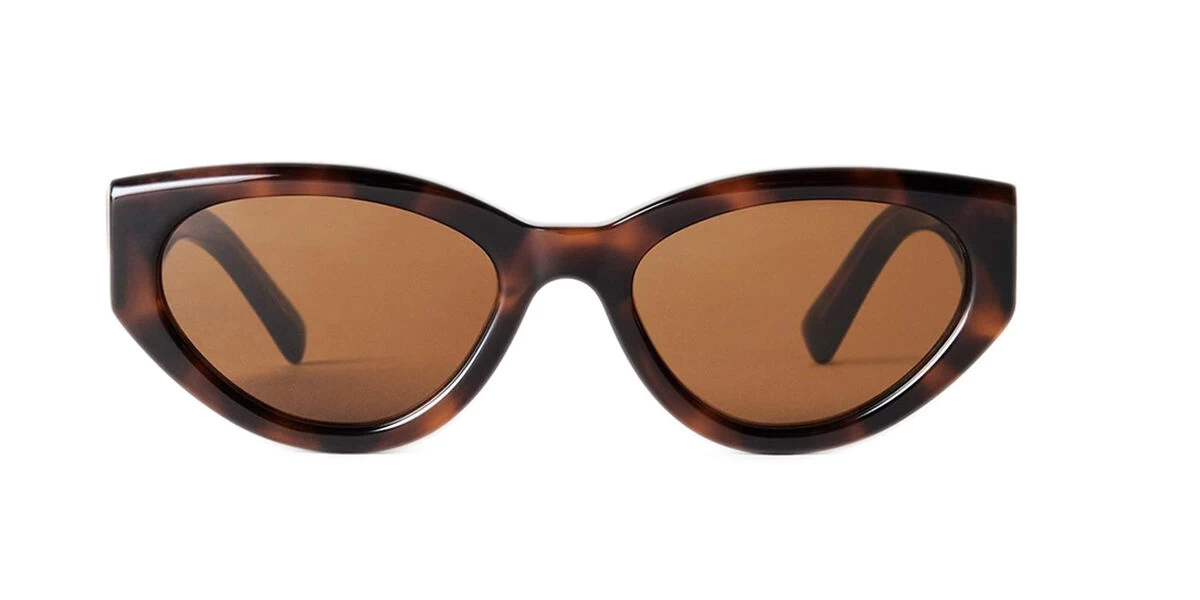 CHIMI 06 Tortoise Tortoise 3 CHIMI 06 Tortoise Tortoise